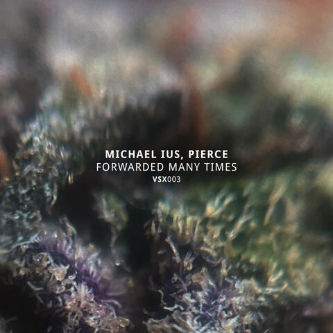 Forwarded Many Times album art