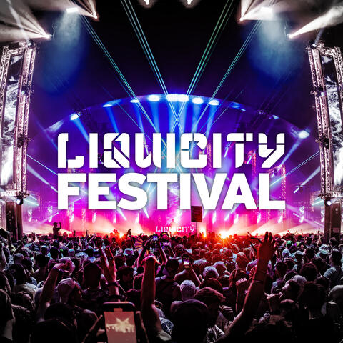 Liquicity Festival 2025 album art