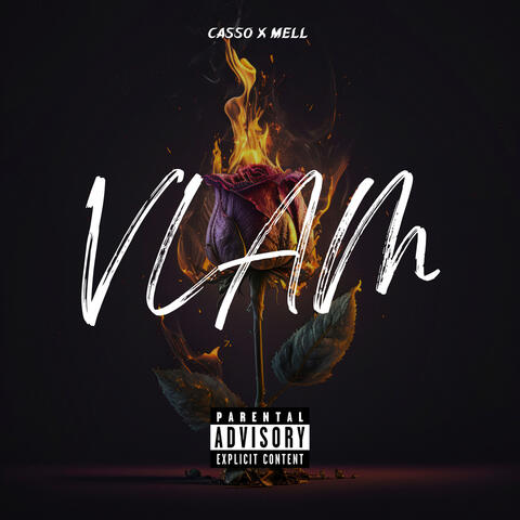 Vlam album art