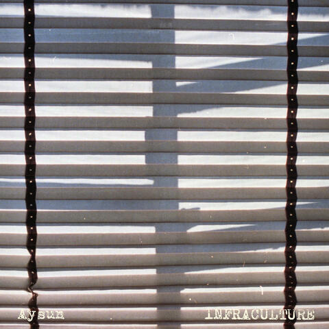 INFRACULTURE album art