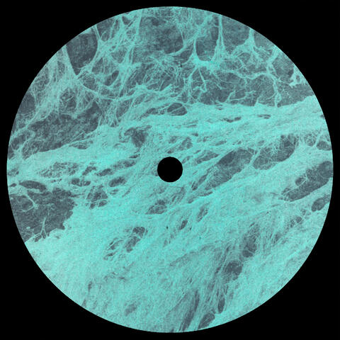 Twin Lines album art