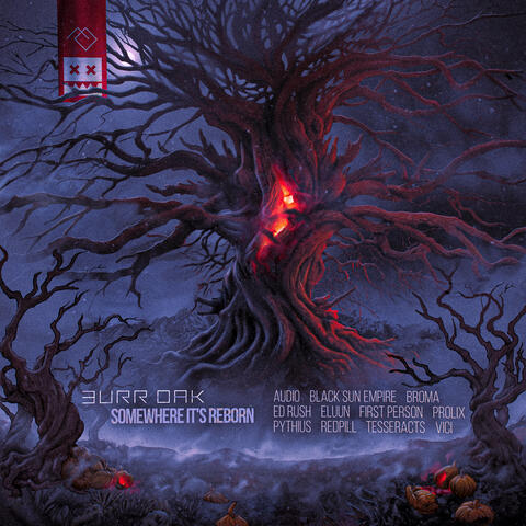 Somewhere It's Reborn album art