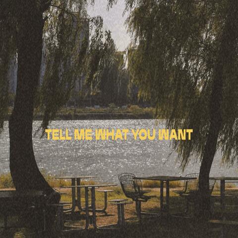 Tell me what you want (feat. LIIV) album art