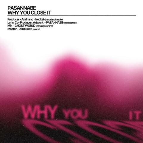 Why You Close It album art