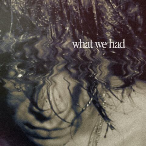 what we had album art