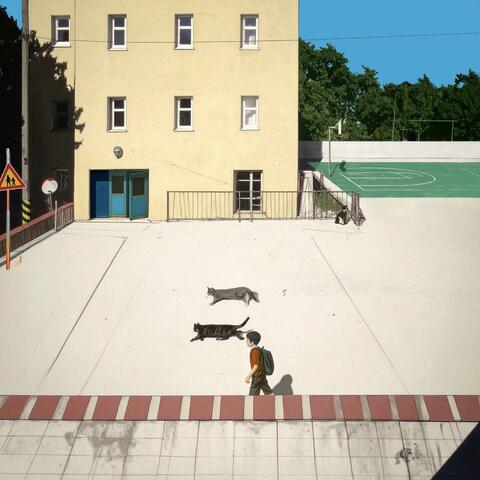 Half Day album art