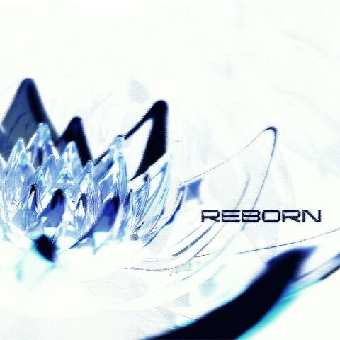 reborn album art