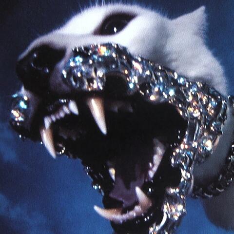 FANG album art