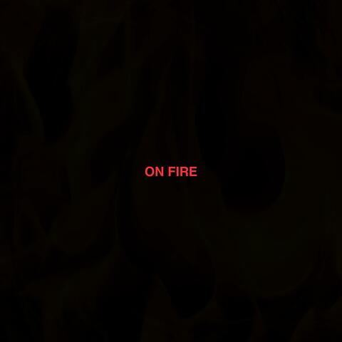 ON FIRE album art