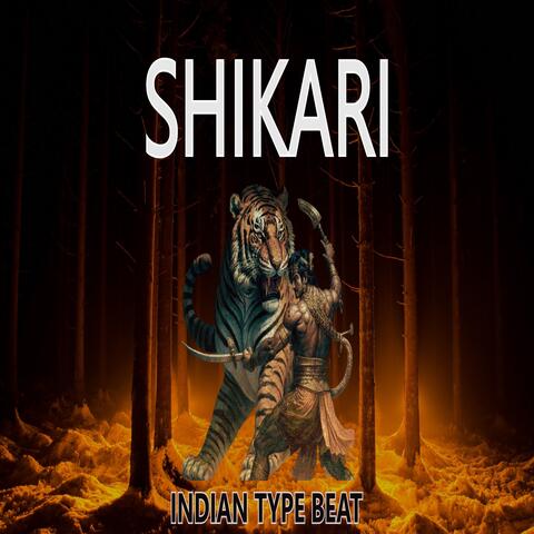 Shikari album art