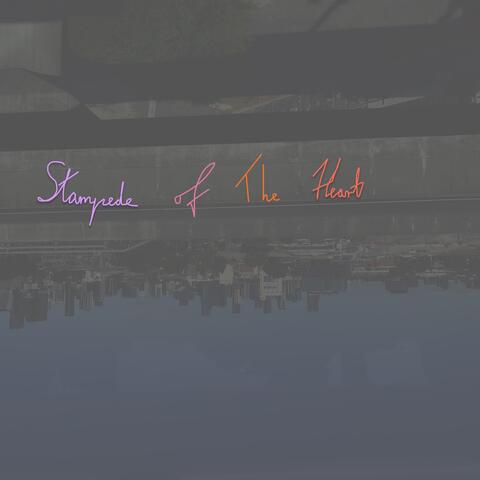 Stampede of the Heart album art