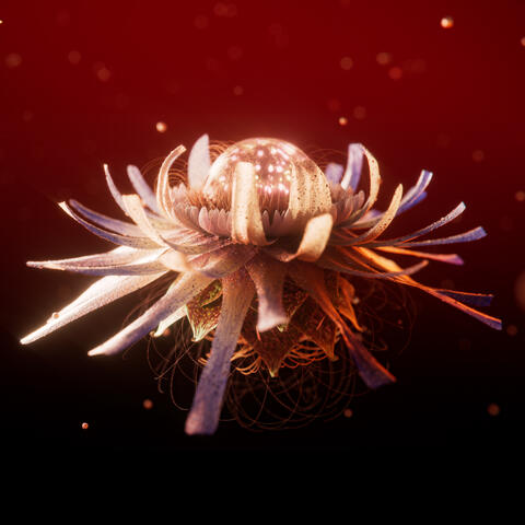 Shadow album art
