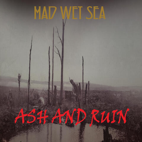 Ash And Ruin album art