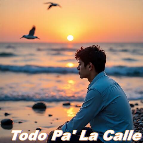 Todo Pa' La Calle album art