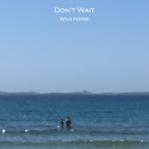Don't Wait album art