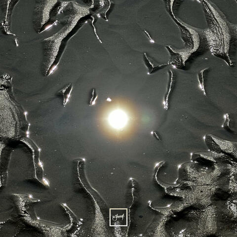 Lucid Visions album art