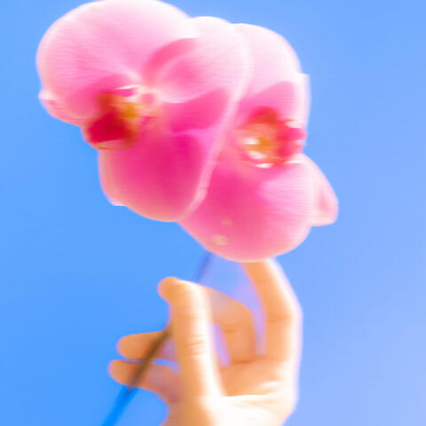 i couldn't hold back (feat. George Riley) album art