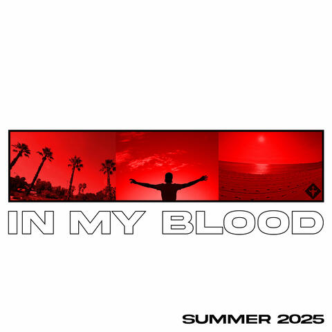 IN MY BLOOD album art