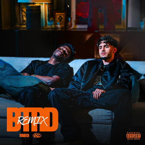 BTRD (feat. R2) – Remix album art