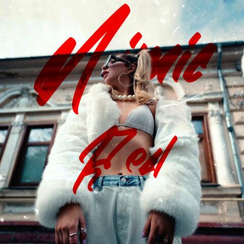 Nimic real album art