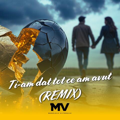 Ti-am dat tot ce am avut (Remix) album art