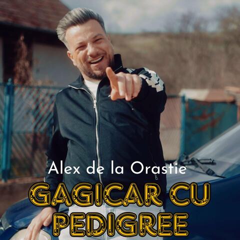 Gagicar cu pedigree album art