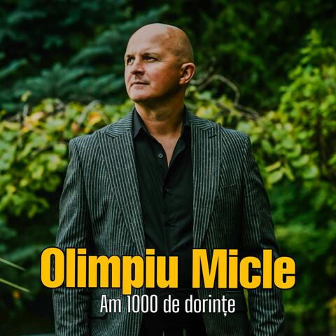 Am 1000 de dorințe album art