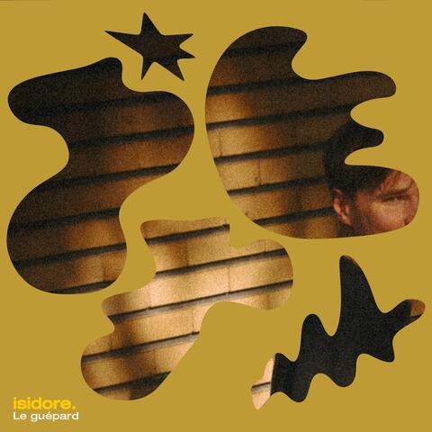 Le guépard album art