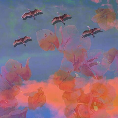The Mauves album art