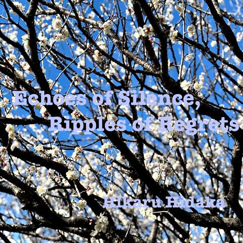 Echoes of Silence, Ripples of Regrets album art