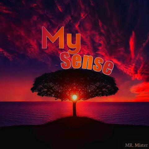 My Sense album art