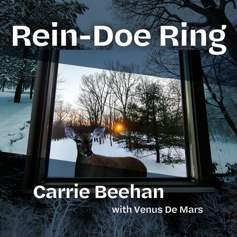 Rein Doe Ring album art