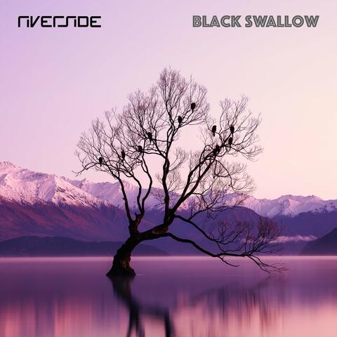Black Swallow album art