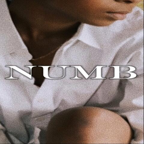 Numb album art