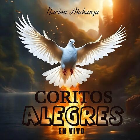 Coritos Alegres (En Vivo) album art