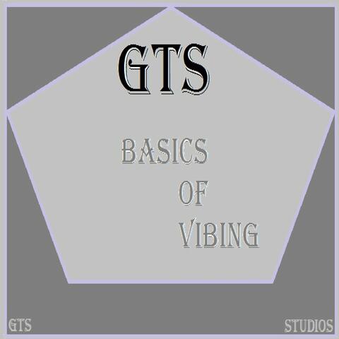 Basics of Vibing album art