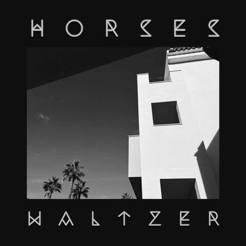 Waltzer album art