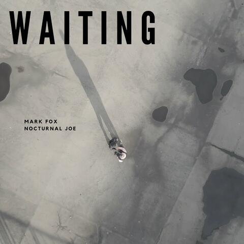 Waiting album art