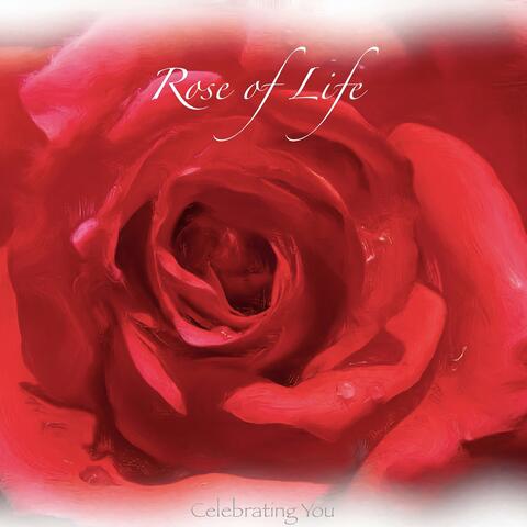 Rose of Life album art