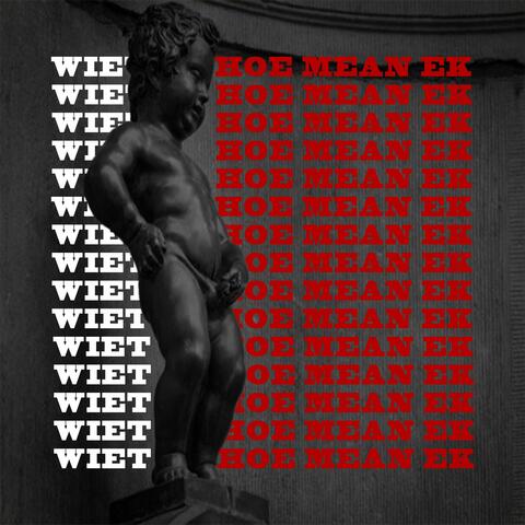 Wiet Jy (Hoe Mean Ek) album art