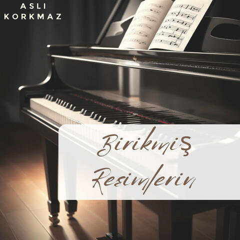 Birikmiş Resimlerin album art