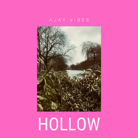 Hollow album art
