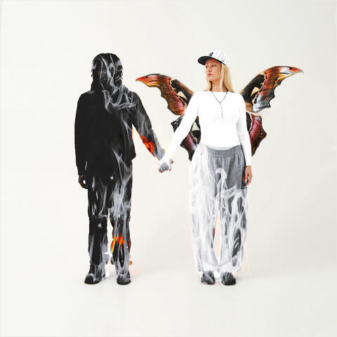 Twin Flame album art