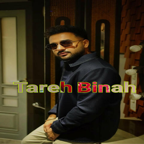 Tareh Binah album art