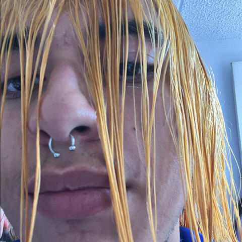 Como Un Capo album art