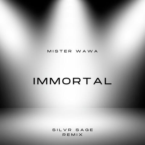 Immortal (Silvr Sage Remix) album art