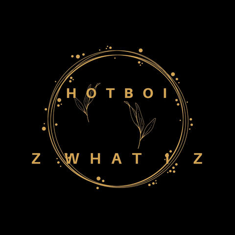 Z What I Z album art