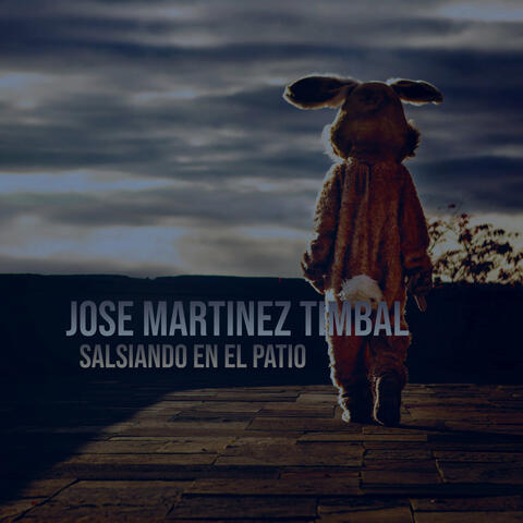 Salsiando en el patio album art