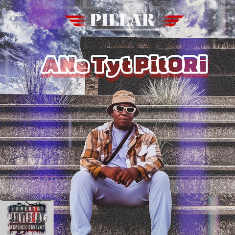 Ane Tyt Pitori album art
