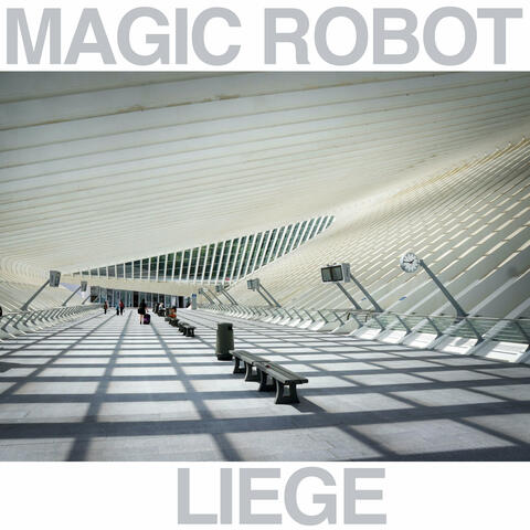 Liege album art